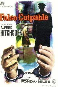 Falso culpable – The wrong man