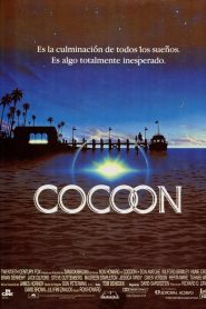 Cocoon