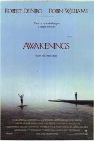 Despertares – Awakenings