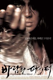 Lucha o muere (Fighter in the Wind) – Baramui Fighter 바람의 파이터