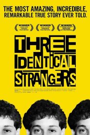 Tres idénticos desconocidos (Three Identical Strangers)