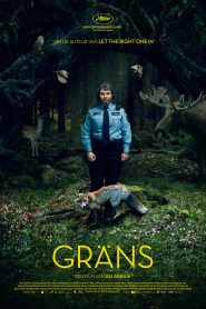 Border – Grans