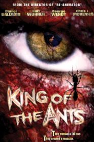 King of the Ants