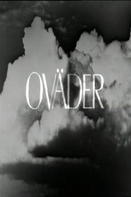 Storm – Oväder VOSI