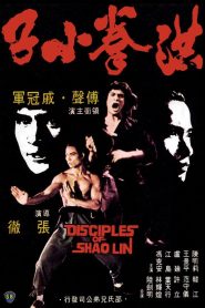 Los discípulos del Shaolin – Hong quan xiao zi (Disciples of Shaolin) 洪拳小子 (VOSI)