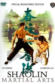 Hong quan yu yong chun (Shaolin Martial Arts) 洪拳與詠春 (VOSI)