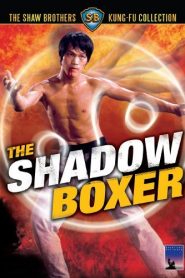 The Shadow Boxer – Tai ji (VOSI)