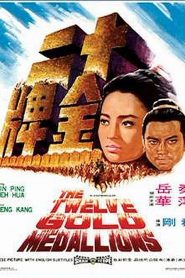 The Twelve Gold Medallions – Shi er jin pai 十二金牌 (VOSI)