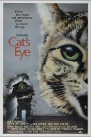 Los Ojos del Gato – Cat’s Eye