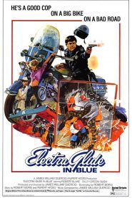 La piel en el asfalto – Electra Glide in Blue