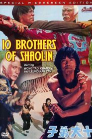 Warriors of the Sacred Temple – 10 Brothers of Shaolin (Shi Da Di Zi) 十大弟子