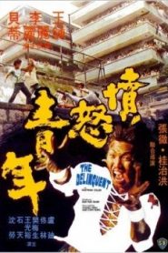 The Delinquent (Street Gangs of Hong Kong) – Fen nu qing nian VOSI