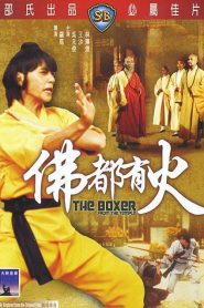 The Boxer from the Temple – Fo jia xiao zi 佛家小子 VOSI