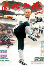 Las artes marciales de Shaolin – Nan bei Shao Lin (Martial Arts of Shaolin) 南北少林 VOSI