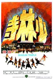 Shaolin Temple – Shao Lin si 少林寺 VOSI