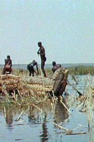 Chasse à l’hippopotame / Bataille sur le grand fleuve