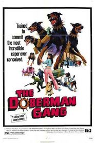 El clan de los Doberman – The Doberman Gang