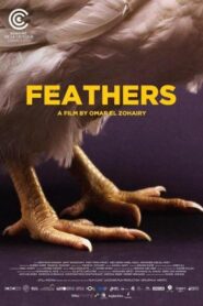 Plumas – Feathers