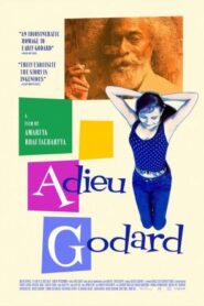 Adieu Godard