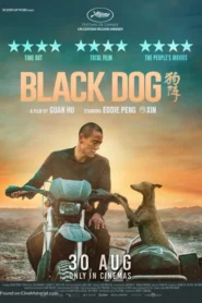 Black dog – Gou zhen